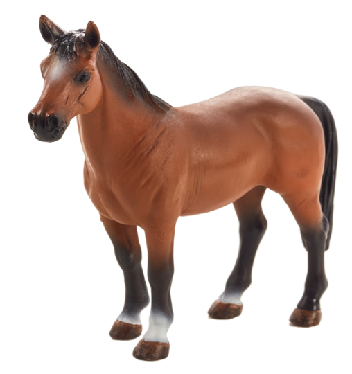 Mojo Cheval Trakehner