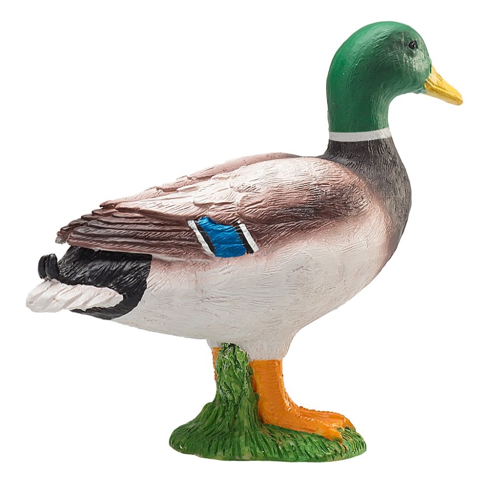 Mojo Canard colvert mâle – Image 4