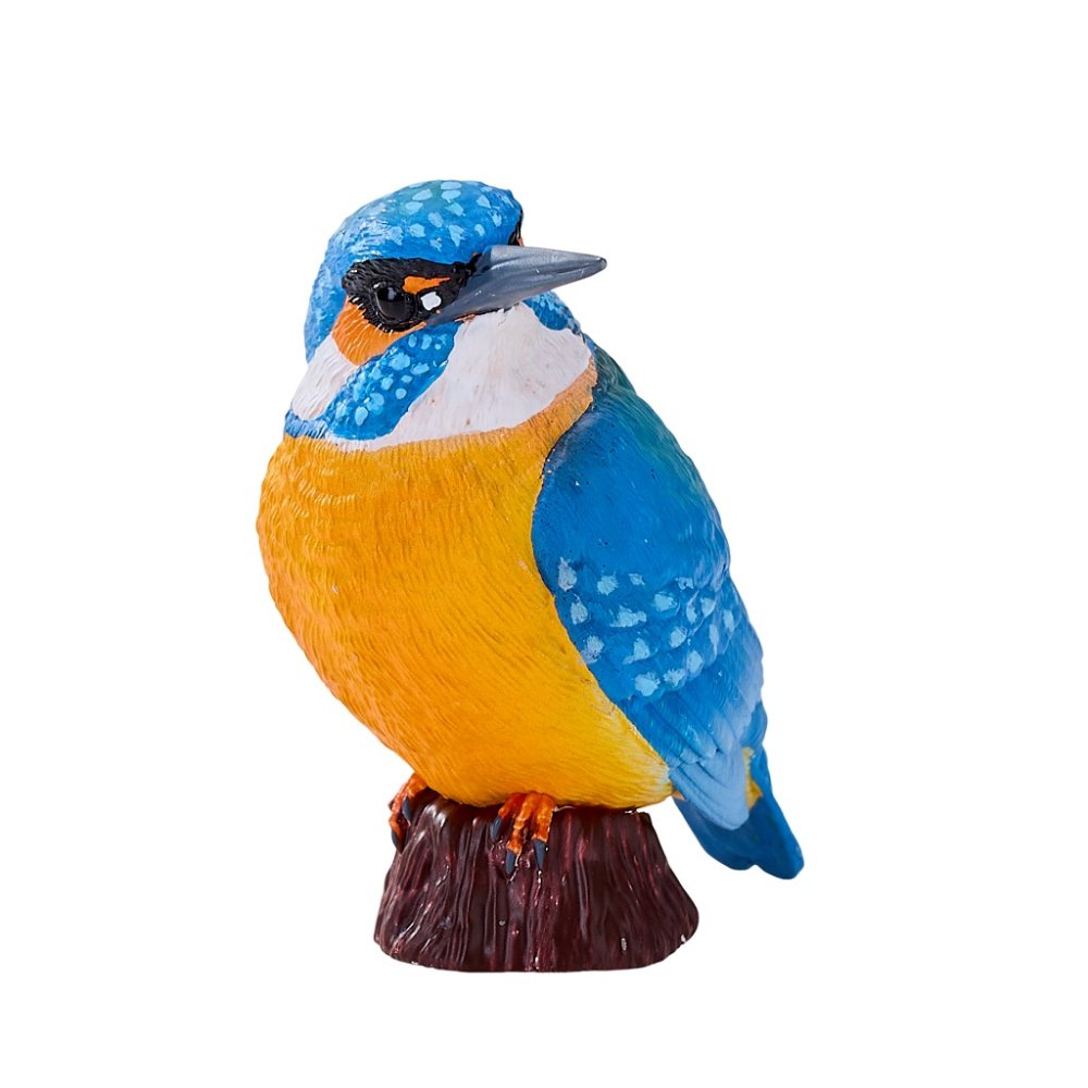 Mojo Martín Pescador Común - Imagen 4