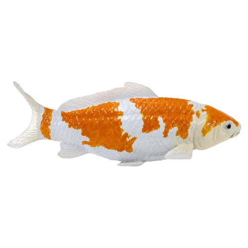 Mojo Kapr koi ochiba shigure v krabičce (obrázek 4)