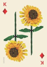 Chronicle Books LEGO® Sada botanických hracích karet