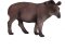 Mojo Južnoamerički tapir