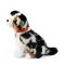 Rappa Plyschhund australian shepherd 30 cm ECO-FRIENDLY