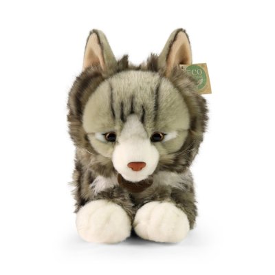 Rappa Gato noruego de peluche 38 cm ECO-FRIENDLY