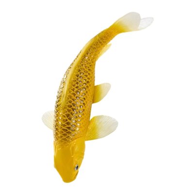Mojo Carpa koi kin matsuba