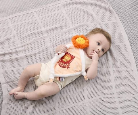 Rainbow Harry Potter Peluche Cuddle Nebelvír