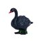 Mojo Cisne Negro