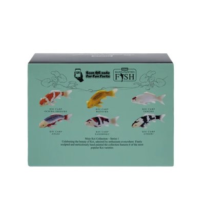 Mojo Carp koi asagi in a box