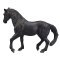 Mojo Andalusian Black Horse