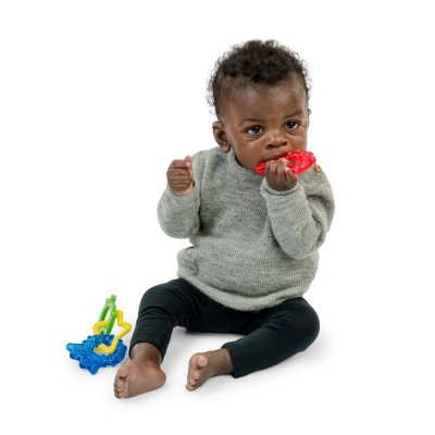 BABY EINSTEIN Beißringe 4er-Pack BPA-frei Cool Critters 3m+