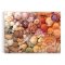 Puzzle Galison Coquillages éclatants 1000 pièces