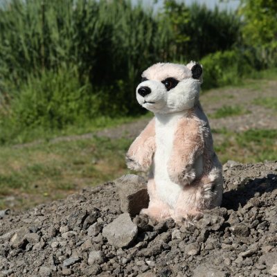 Rappa Suricata de peluche de pie 14 cm ECO-FRIENDLY