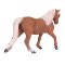 Mojo Cavalo morgan palomino
