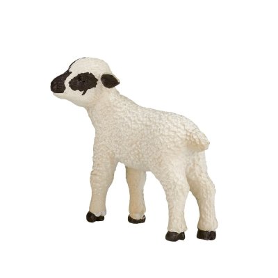 Mojo Hampshire Lamm stehend
