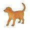 Mojo Szczeniak golden retriever