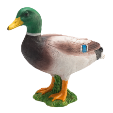 Mojo Stockente Erpel