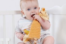 Rainbow Plyšová hračka maznáčik Tiger