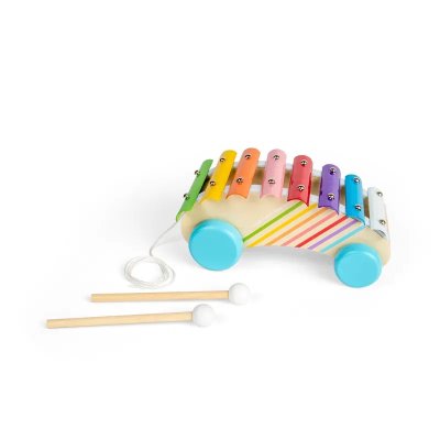 Bigjigs Toys Trek Xylofoon