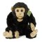Rappa Chimpancé de peluche 27 cm ECO-FRIENDLY