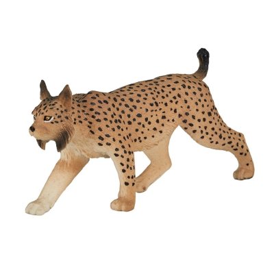Mojo Luchs