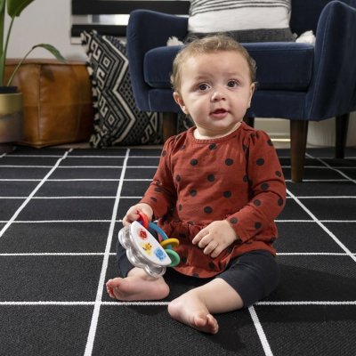BABY EINSTEIN Tamburin mit Rassel 3m+