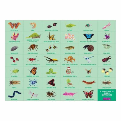 Puzzle Mudpuppy Insectes et papillons 64 pièces