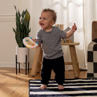 BABY EINSTEIN Spielzeug Musikalisches Tamburin Tap & Shake™ Magic Touch™ HAPE 6m+