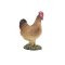 Mojo Gallina in piedi