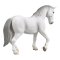 Yegua Lipizzaner Mojo