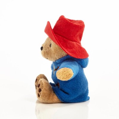 Tęczowy Pluszowy Paddington mini