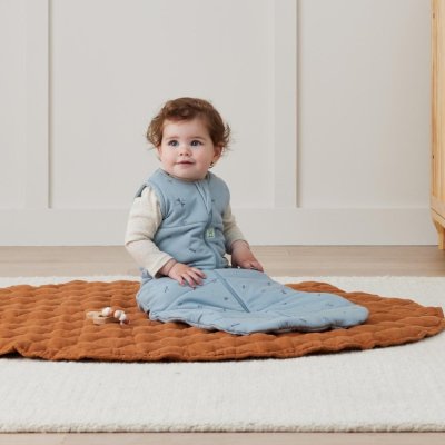 ERGOPOUCH Śpiworek do spania bawełna organiczna Jersey Dragonflies 8-24 m, 8-14 kg, 2,5 tog