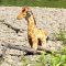 Rappa Giraffa di peluche in piedi 40 cm ECO-FRIENDLY