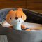 BABYONO Pfeifspielzeug Fox Monday ab 3 Monaten