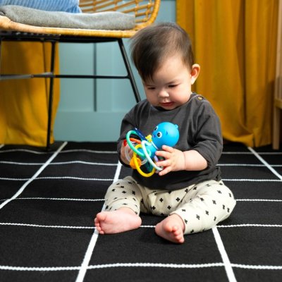 BABY EINSTEIN Anneau de dentition/hochet Opus's Shake & Soothe™ 0m+