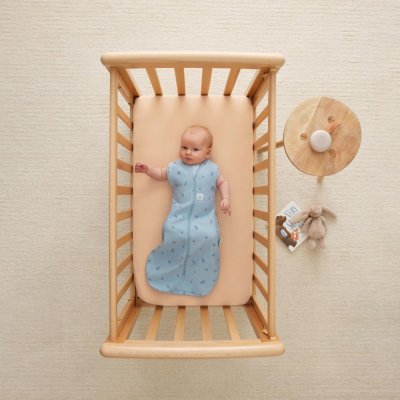 ERGOPOUCH Otulacz i śpiworek 2w1 Cocoon Dragonflies 6-12 m, 8-10 kg, 0,2 tog