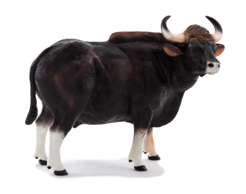 Mojo Gaur bik
