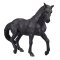 Mojo Andalusian Black Horse