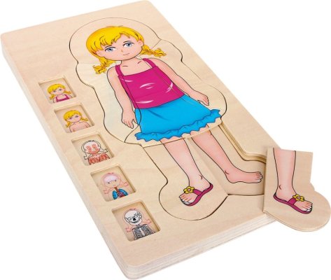 small foot Drewniane puzzle anatomia