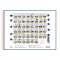 Puzzle Galison Animaux de compagnie des présidents 2000 pièces