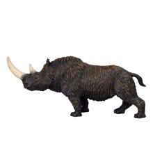 Mojo Nosorożec Włochaty