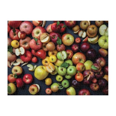 Galison Puzzle Apfelsorten 1000 Teile