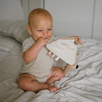 BABYONO Zabawka pluszowa Koala Charlie 0m+
