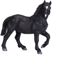Mojo Caballo Percherón