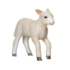 Mojo Agneau Romney Marsh courant