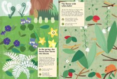 Chronicle Books Książka z naklejkami z aktywnościami Moja natura W lesie