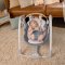 Balanço conversível INGENUITY com melodia Swing'n Go Chambray 0m+ até 9kg