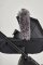 ANEX Kožešina Hood black