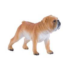 Mojo English Bulldog