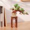 RoboTime 3D Holzpuzzle Bonsai Kiefer