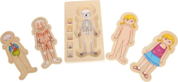 small foot Drewniane puzzle anatomia